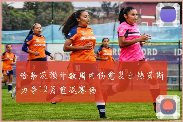 哈弗茨预计数周内伤愈复出热苏斯力争12月重返赛场